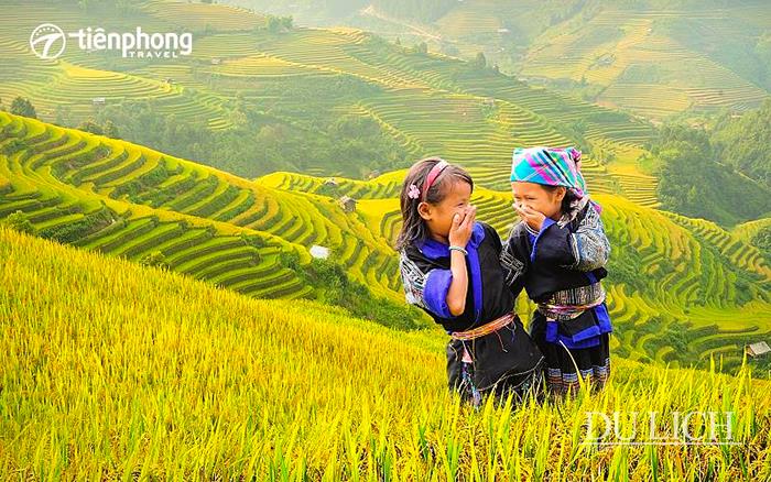 Tiên Phong Travel ra mắt một loạt chương trình du lịch đặc sắc với giá cực tốt để kích cầu